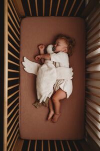 Senger Naturwelt Fehér liba melegítőpárnával, nagy