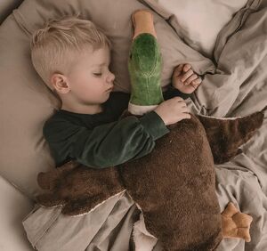 Senger Naturwelt Vadkacsa melegítőpárnával, nagy